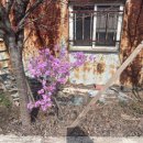 궁평1리 마을회관 이미지