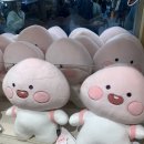 용화사 앞 | 3.29 청주 당일치기 여행 (복남이네 꽁당보리밥, 청주 용화사, 청주 카페 스테이인터뷰 르투어)