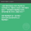 초보생활영어 이미지