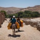 남종우농장 이미지