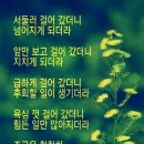 조금 이미지