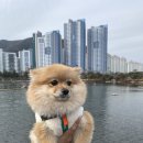 연지네맛집 이미지