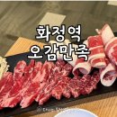오감만족 | 화정 고기집 회식하기 좋은 오감만족 방문후기 메뉴 가격 위치 영업시간