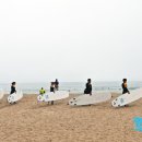 코코넛서프