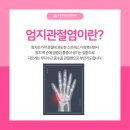 엄지의원 이미지