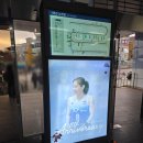 샛골로41번길 | 2025 프로농구 인천 신한은행 에스버드 홈경기 직관기| 인천 도원 체육관 2층 쏠 한 응원석 시야