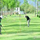 파크골프 경기방법, 간단한 규칙 요약 이미지