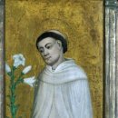 로베르토 이미지