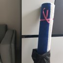 버블크린세탁 | 카페트 수거 세탁 내돈내산 후기, 버블크린