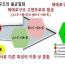 합금 이미지