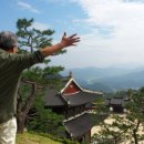 산청지리산약초 이미지