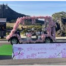 신라 스크린골프 이미지