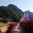 단양군시티투어 네이버블로그