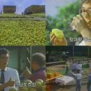 따봉농장 이미지