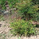 미경농장 이미지