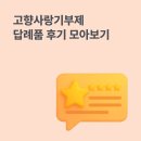 경남단감 원예농업협동조합 | 웰로 기부자들이 인정한 고향사랑기부제 원픽 답례품은?