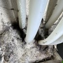 그린종합가스 | 율량동 두진백로 그린타운 보일러 분배기 교체 및 보일러 배관교체로 방문했어요