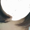 덕천동 미용실 살롱드제이민 타샵에서 망한 머리 되살리기 (단발 빈티지펌)
