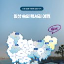 청춘남녀1박2일 데이트 프로그램 🚩나는썸온 8기 울산편 후기 🌸