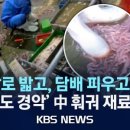 동성육류 이미지