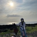 희진전기