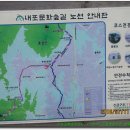 용봉초등학교앞 이미지