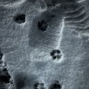 사평대로55길 8 이미지