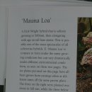 ' Mauna Loa ' 이미지