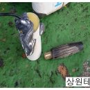 상원세차장 이미지