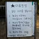 서현농장 이미지