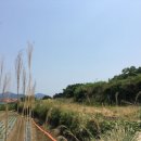 남해-253 이미지