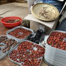 방성애민박 이미지