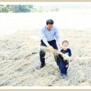 정다운목장 이미지