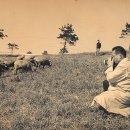 정희목장 이미지