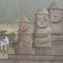 신정할인마트 이미지