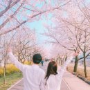 bokeh(보케)