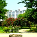 월광수변공원 이미지