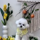 올데이 그루밍 이미지