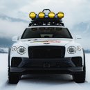 트윈스피드 자동차 공업사 | "지상고 310mm의 위엄" 캠핑카 대신 고카트 싣고 달리는 벤틀리 SUV?!