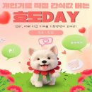 꾸이네펫푸드 | 반려동물 간식] 믿고 먹이는 바우와우 투어! 버거왕 야채 3종부터 잇츠타임, 영양죽까지 전 제품 솔직 후기