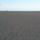 남대천식당 이미지