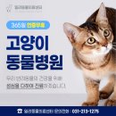 품 동물의료센터 이미지