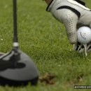 골프존 나이스 스크린 골프 연습장 이미지