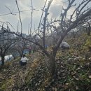 신내농장 이미지