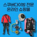 다이브나우