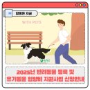 링크늘푸른동물병원 | &#34;사지말고 입양하세요&#34;, 유기동물 입양비 지원 제도 (유기동물 지원금 &amp; 유기동물 보호소 리스트)