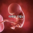 어떤 순간들이 우리를 찾아와도 흔들리지 않기로 해