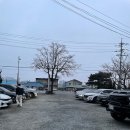 [양양 맛집] 감나무식당 주말 오픈런 후기