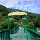 장평농원 이미지