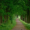 (주)아름다운손짓 이미지